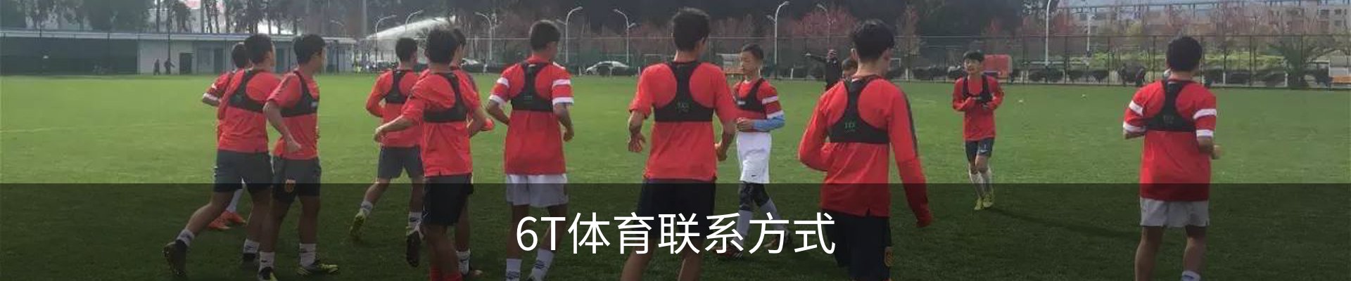 6T体育联系方式